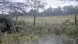 1/8 Acre Plots for Sale in Ongata Rongai Nkoroi - 5