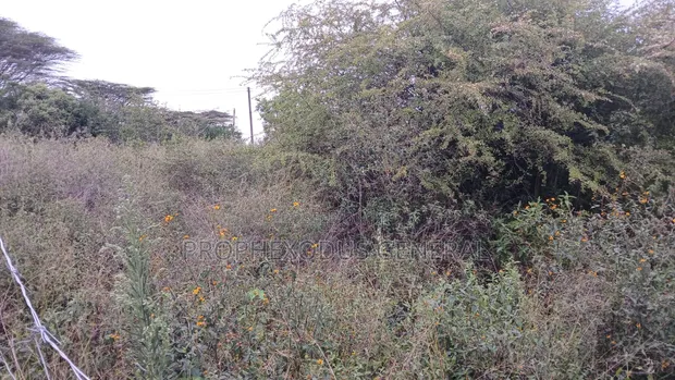 1/8 Acre Plots for Sale in Ongata Rongai - 1
