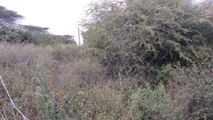 1/8 Acre Plots for Sale in Ongata Rongai
