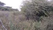 1/8 Acre Plots for Sale in Ongata Rongai - 1