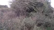 1/8 Acre Plots for Sale in Ongata Rongai - 3