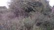 1/8 Acre Plots for Sale in Ongata Rongai - 4