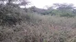 1/8 Acre Plots for Sale in Ongata Rongai - 5