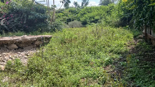 50x100ft Commercial Plots for Sale in Ongata Rongai Nkoroi Kamura - 1