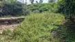 50x100ft Commercial Plots for Sale in Ongata Rongai Nkoroi Kamura - 1
