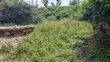 50x100ft Commercial Plots for Sale in Ongata Rongai Nkoroi Kamura - 2