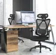 Ergonomic Orthopedic Office Chair - 1