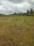 50x100 Plot for Sale, Mai Mahiu Highway, Ruiru - 1