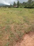 50x100 Plot for Sale, Mai Mahiu Highway, Ruiru - 3