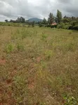 50x100 Plot for Sale, Mai Mahiu Highway, Ruiru - 4