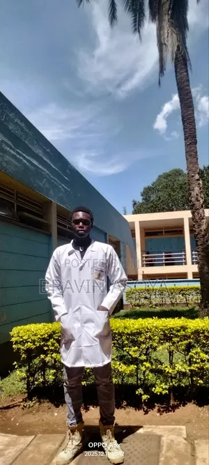 Competent Teacher Seeking Opportunities