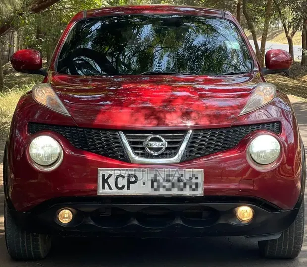 Nissan Juke 2011 - 1