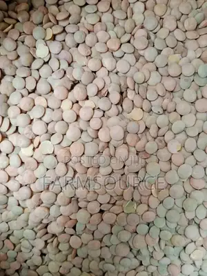 Kamande/Lentils - Bulk Available