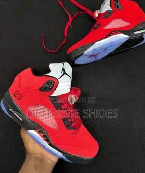 Air Jordan 5 Sneakers