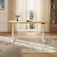 Premium Electric Height Adjustable Study Desk - 4