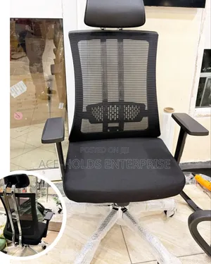 Managerial High-Back Orthopedic Mesh Office Chair