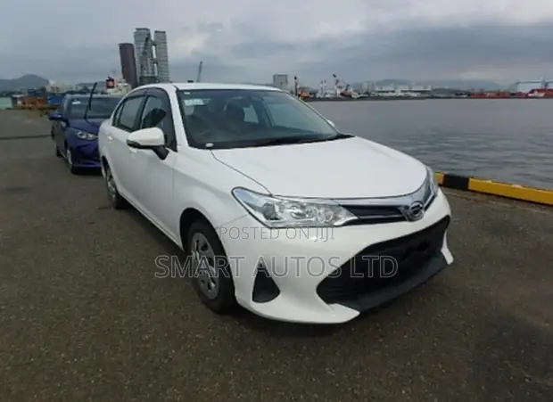 Toyota Axio 2019 - 1