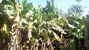 Prime Plots for Sale in Nairobi Area, Eldoret