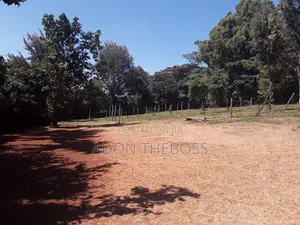 Eneo la 1/4 Acre Linauzwa Matasia