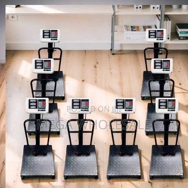 Digital Platform Weighing Scales (100kg-300kg) - 1