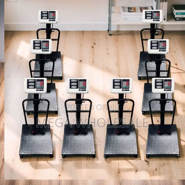 Digital Platform Weighing Scales (100kg-300kg) - 1