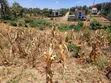 Ruiru Mugutha 100x200 Plot for Sale - 1