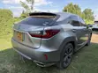 Lexus RX 300 4WD 2018 Gray - 2