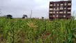 Thika Gatitu Commercial Plots for Sale - 2