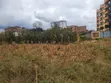 Commercial Land for Sale - Jomoko Behind TIPS Thika - 2