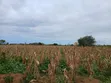 Prime 2nd Row Beach Plots for Sale in Kilifi Chumani - 1
