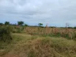 Prime 2nd Row Beach Plots for Sale in Kilifi Chumani - 3