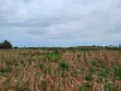 Prime 2nd Row Beach Plots for Sale in Kilifi Chumani - 5