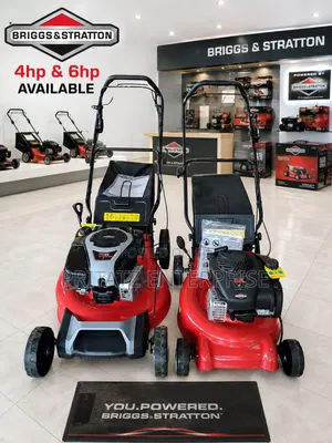 Briggs & Stratton Lawn Mower ya Petroli (4HP & 6HP)