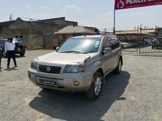 Nissan X-Trail 2004 Silver - 1