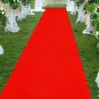 Durable Red Event Carpet Runner for Celebrations - 2