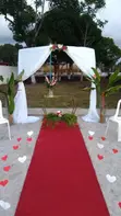 Durable Red Event Carpet Runner for Celebrations - 3
