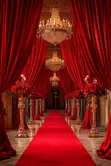Durable Red Event Carpet Runner for Celebrations - 5