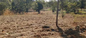 Prime 1 Acre Land for Sale in Kirinyaga Kimbimbi Riagicheru