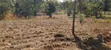 Prime 1 Acre Land for Sale in Kirinyaga Kimbimbi Riagicheru - 1