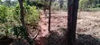 Prime 1 Acre Land for Sale in Kirinyaga Kimbimbi Riagicheru - 2