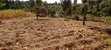 Prime 1 Acre Land for Sale in Kirinyaga Kimbimbi Riagicheru - 3