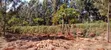 Prime 1 Acre Land for Sale in Kirinyaga Kimbimbi Riagicheru - 4