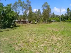 Quarter Acre Plot for Sale in Obambo, Kisian