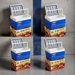 4.5L Kisanduku cha Baridi cha Kubebeka cha Kushikilia Mkono