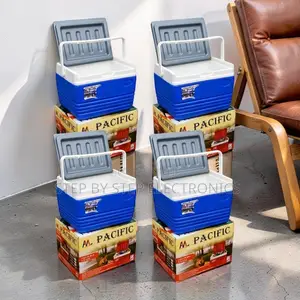 4.5L Handheld Portable Cooler Box Ice Box