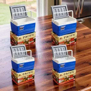 4.5L Kisanduku cha Baridi cha Kubebeka cha Mkono