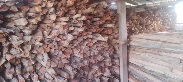 Mkaa wa Kuuzwa - Aina Mbalimbali - 1