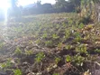 Prime 1/8 Acre Land in Nakuru - 1