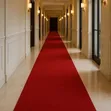 Premium Walkway Carpets - Elegant & Durable - 2
