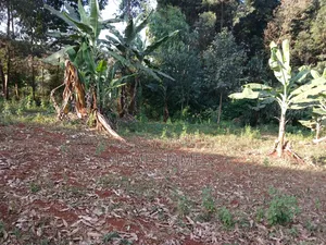 50x100ft Plot for Sale Near Kikuyu Road Shell